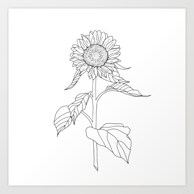 Sunflower Drawing Art Print By Carliandme Society6