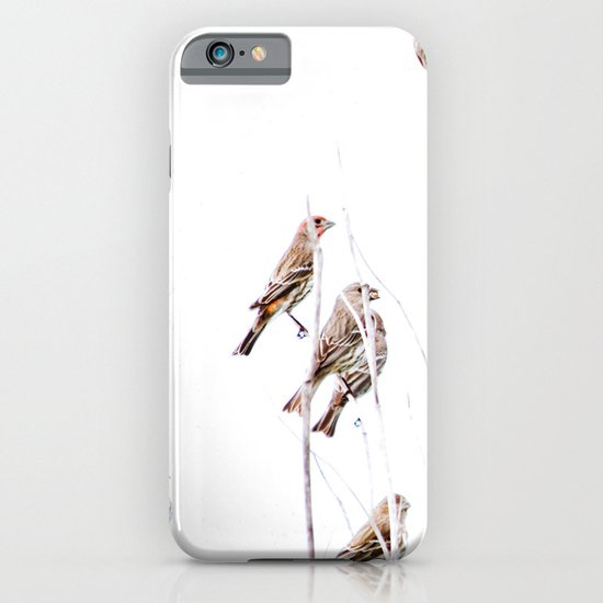 Birds iPhone & iPod Case