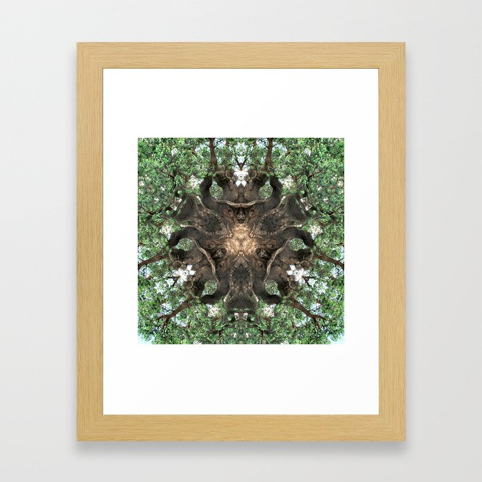 Cathedral Tree Framed Art Print