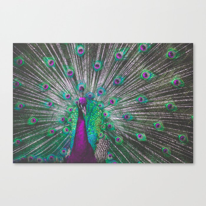 Psychedelic Peacock Canvas Print