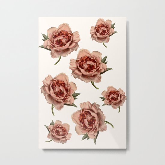 Roses Metal Print