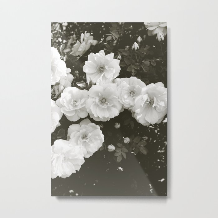 Floral in Black and White Metal Print