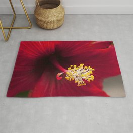 Scarlet Ruby Red Tropical Hibiscus Flower Chic Close-Up Rug
