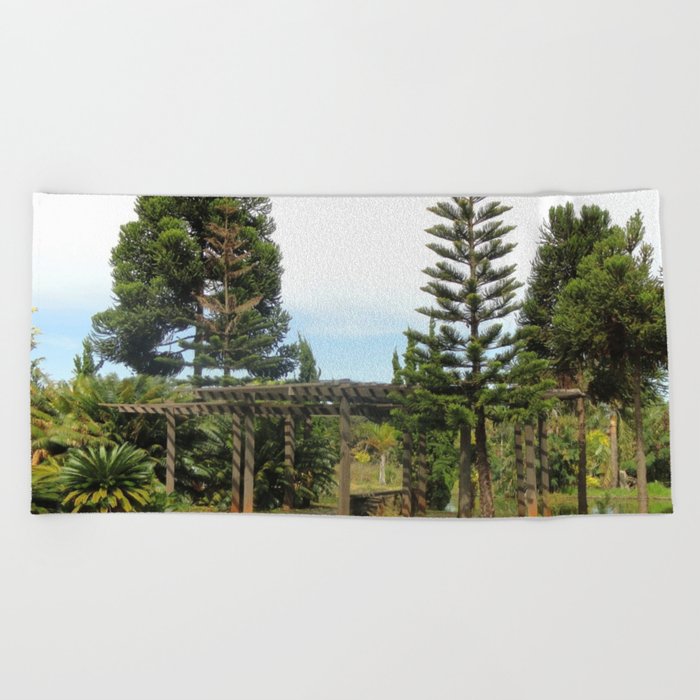 Brazil Photography - Botanical Garden In Brasilia Beach Towel