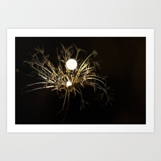 The Biology Principles of the Sleepwalking Botanist Art Print