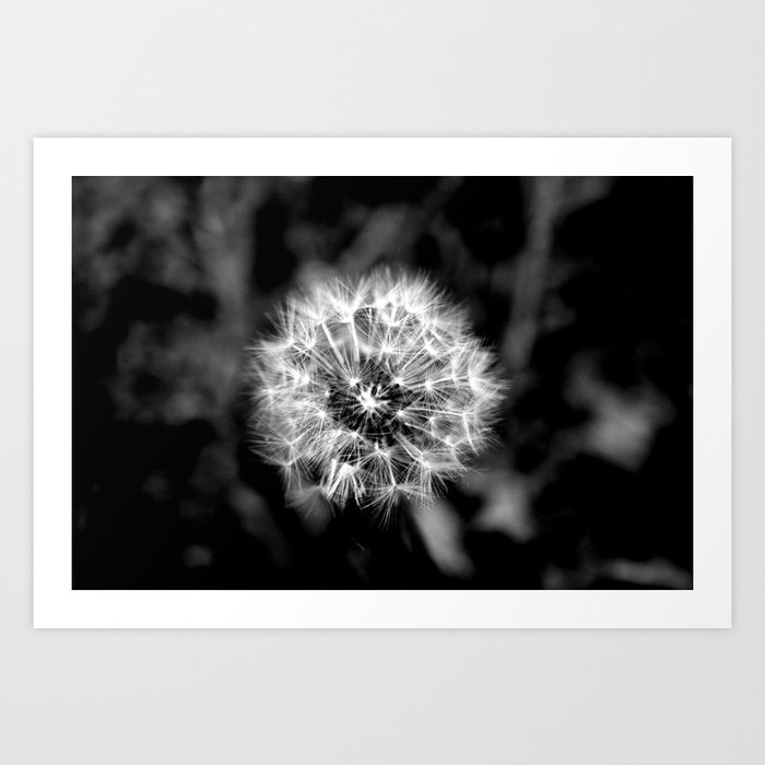 Moon Dandelion Art Print By Angela Doss 