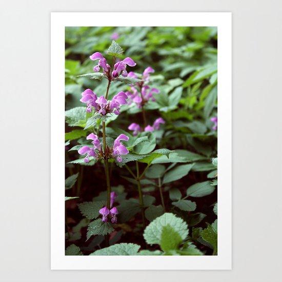 Flower Art Print