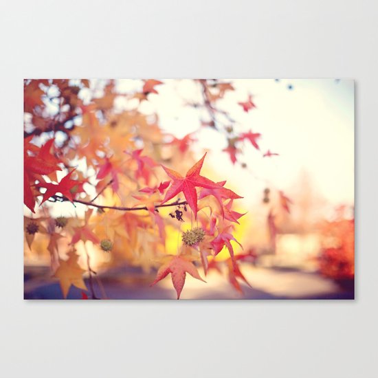 Forever Fall Canvas Print