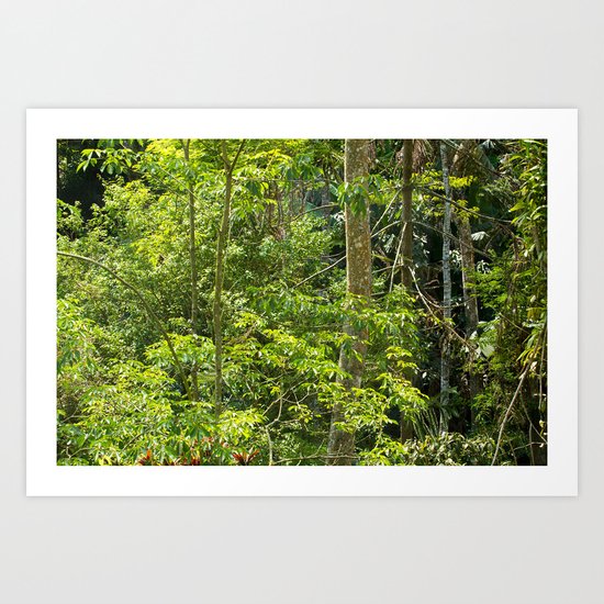 Jungle Art Print