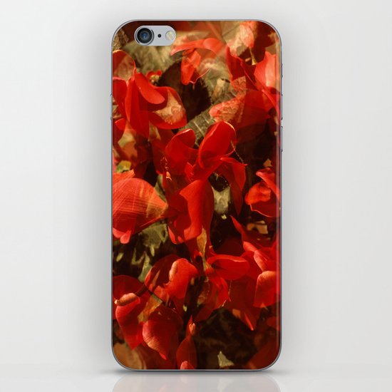 Alpenveilchenmix 1 iPhone & iPod Skin