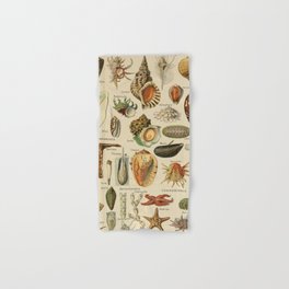 Vintage sealife and seashell illustration Hand & Bath Towel