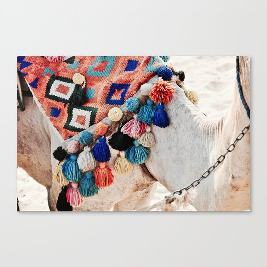 EGYPTIAN CAMEL Canvas Print