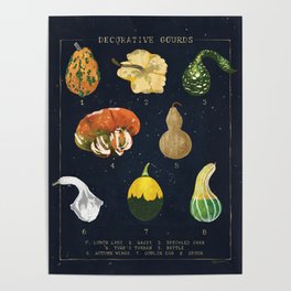 Decorative Gourds Chart Poster