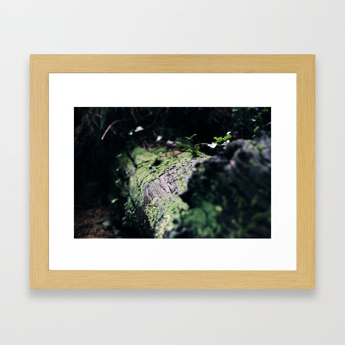 forest 3 Framed Art Print