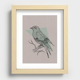 Bird Fascination Recessed Framed Print