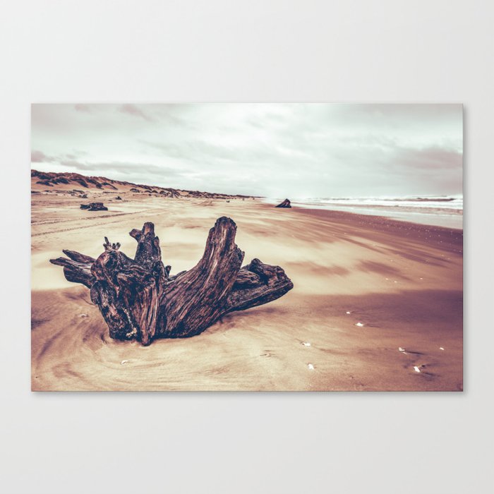 Ocean Driftwood Canvas Print by Nature Magick Cascadia Collection