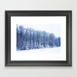 Winter Lake Framed Art Print
