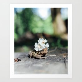 flower crown toad Art Print