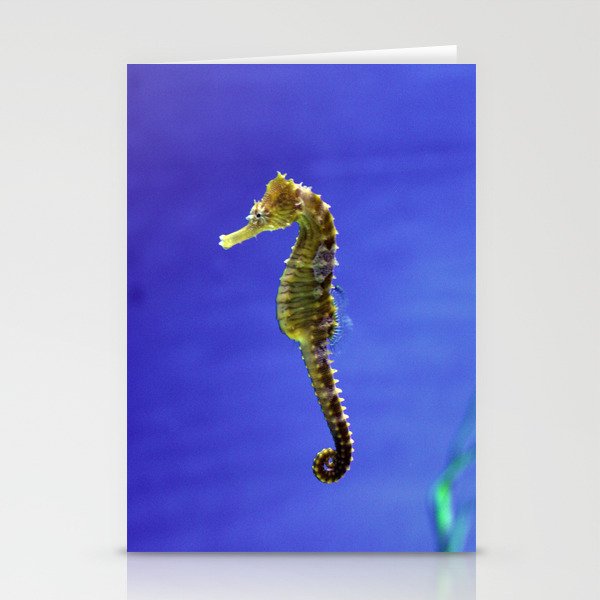 The Darling Seahorse Stationery Cards