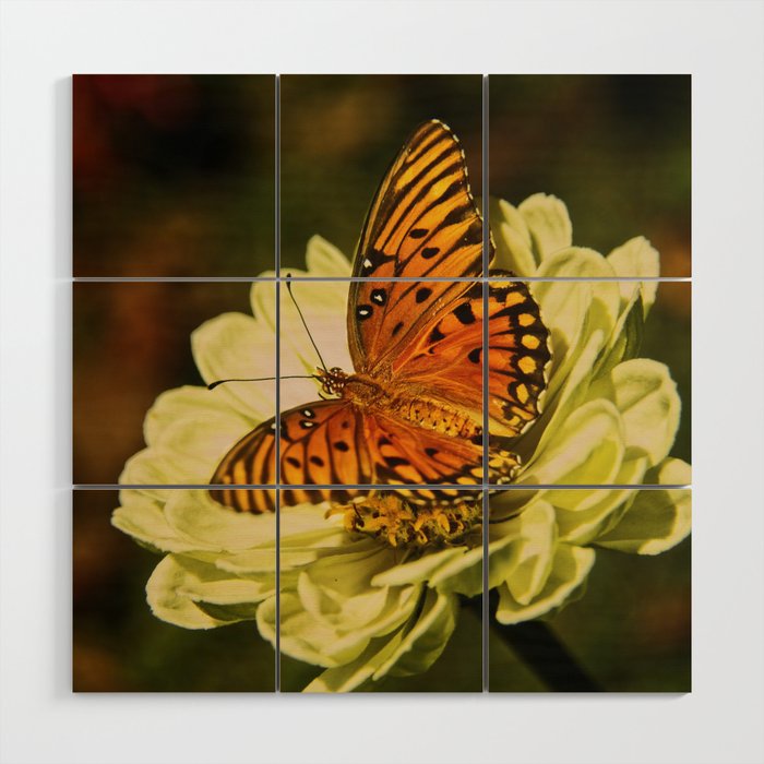 Butterfly Days Wood Wall Art