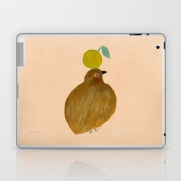 Fat Round Bird and Orange - Brown and Pink Laptop Skin