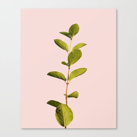 Botanica Art V3 #society6 #decor #lifestyle #fashion Canvas Print