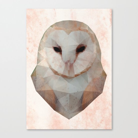 Barn Owl Triangle Canvas Print
