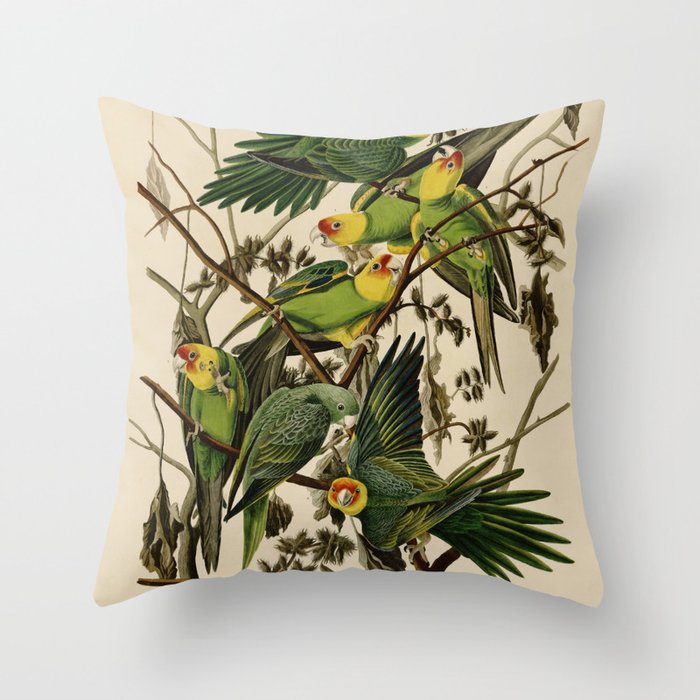 Vintage Parrot Illustration Throw Pillow