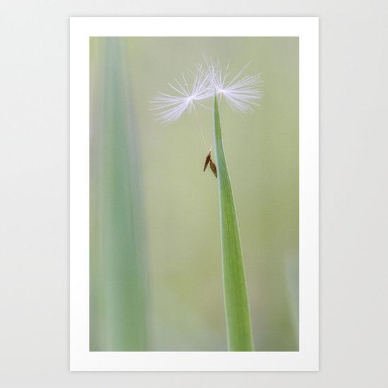 hanging on together Art Print