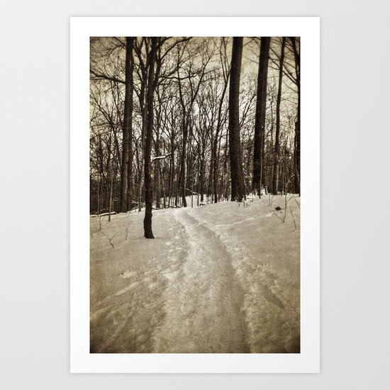 into the woods Art Print