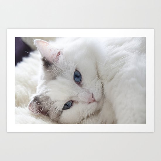 Bedroom eyes Art Print
