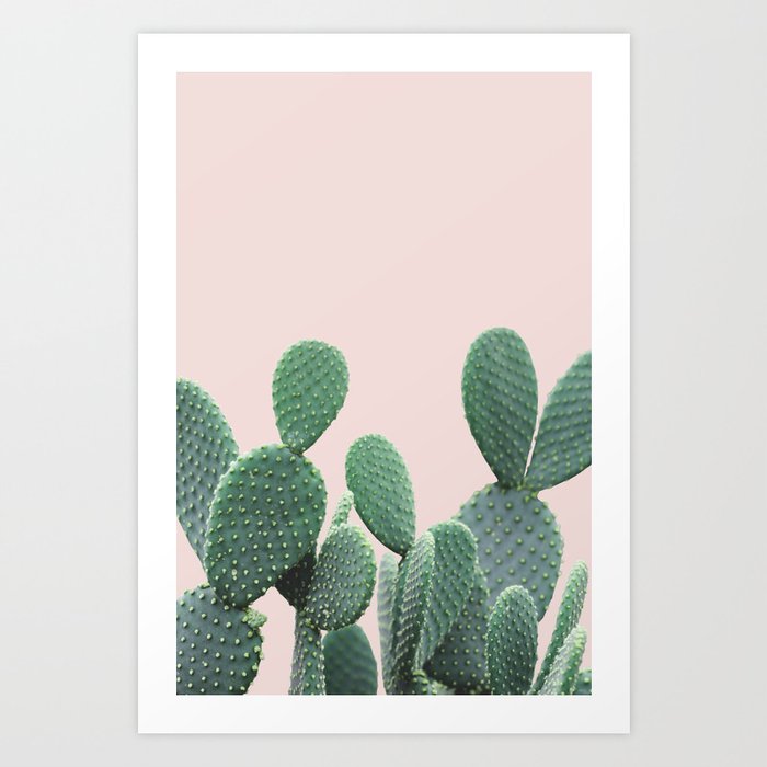 Cactus on Blush Art Print by summersunhomeart Society6