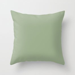 Minimal, Solid Color, Light Sage Green  Throw Pillow