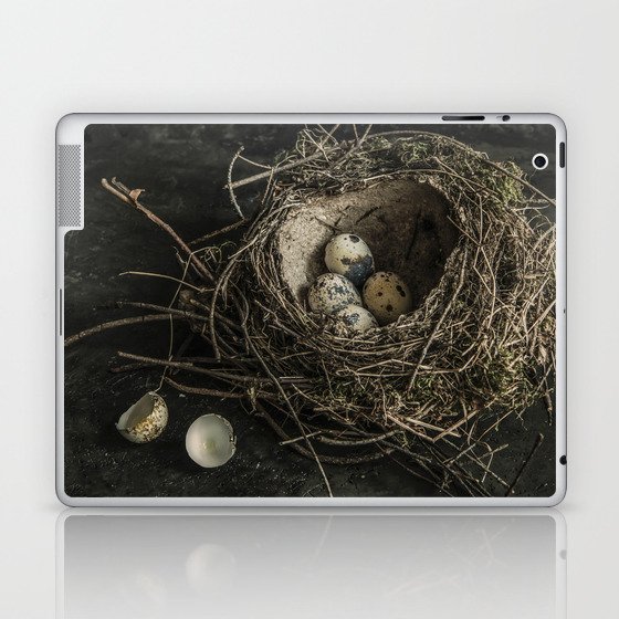 Forgotten nest with eggs Laptop & iPad Skin