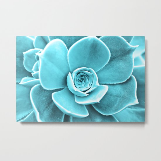 Succulent Southwest Metal Print
