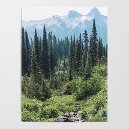 Mount Rainier Classic Mountain Meadow - 129/365 Nature Photography Poster