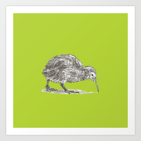 Kiwi Bird Art Print