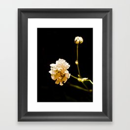 White Carnation dance Framed Art Print