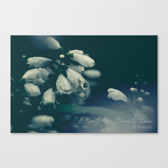Curses of the forest Canvas Print