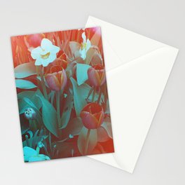 Marvelous Stationery Cards