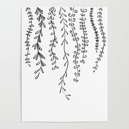 Line Drawing - Vines and Leaves Poster