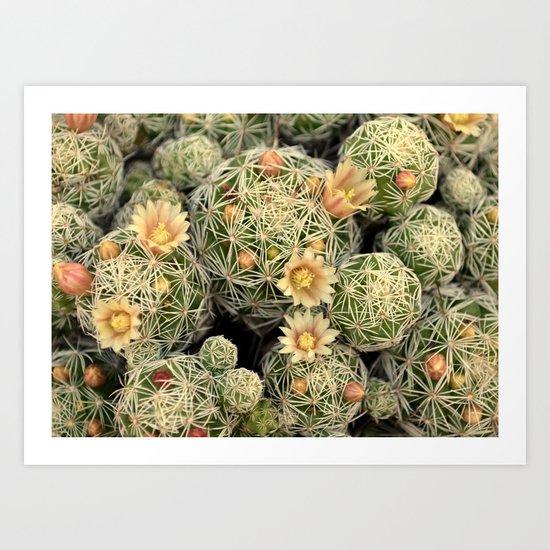 Pretty Prickly Art Print