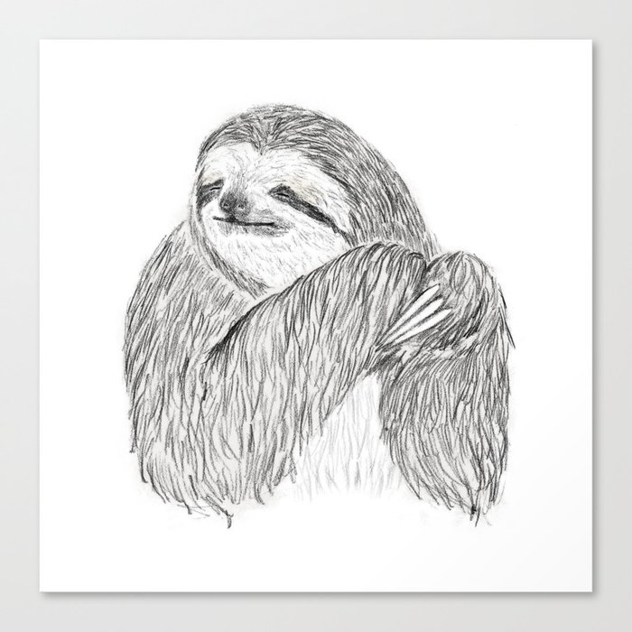 sloth Canvas Print