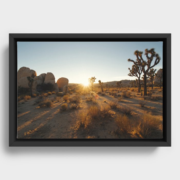 Joshua Tree Sunburst 2 Framed Canvas
