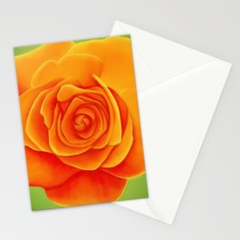 Orange Rose Drawing Stationery Card