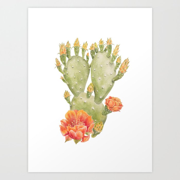 Cactus And Flower Watercolour Painting Print By Magda Opoka Art