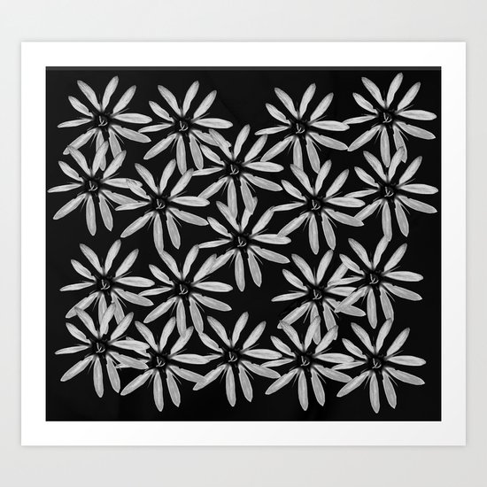 Tiny White Flowers on Black Background Art Print