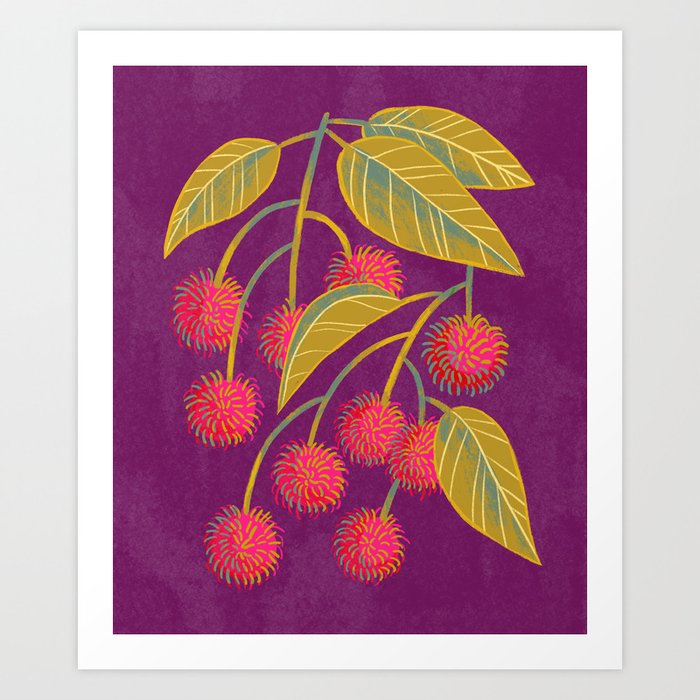 Rambutan Fruit Art Print