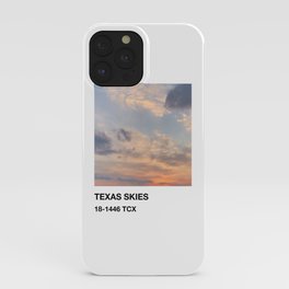 PANTONE Texas Skies iPhone Case