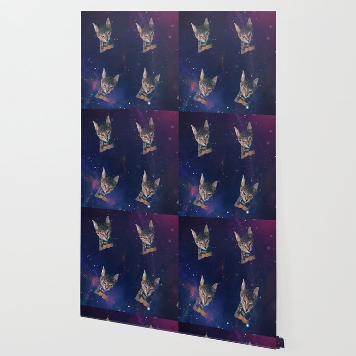 Space Angry Cat Funny Cute Galaxy Cat Gift Cat Lover Dank Meme